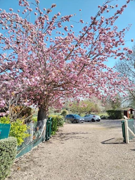 Berville-sur-MerDomaine Des Cerisiers * Campagne * Parking Prive * Proche Piste Cyclable别墅 外观 照片